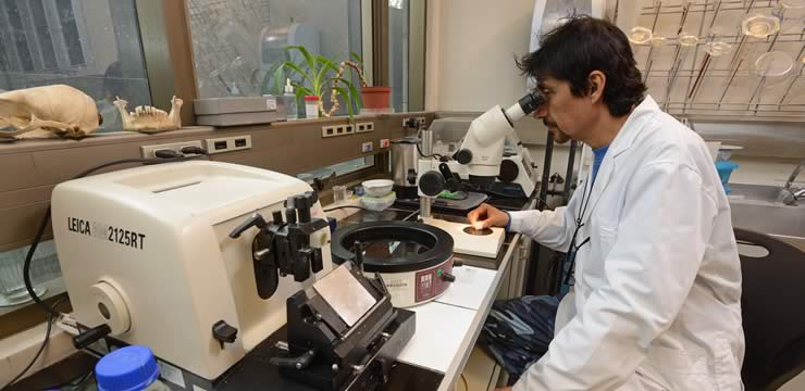 banner-investigacion-odontologia-finis-terrae-02