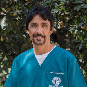 Dr. Alejandro Oyarzún